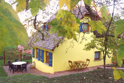 Les deux terrasses du Gite en Alsace vues du verger